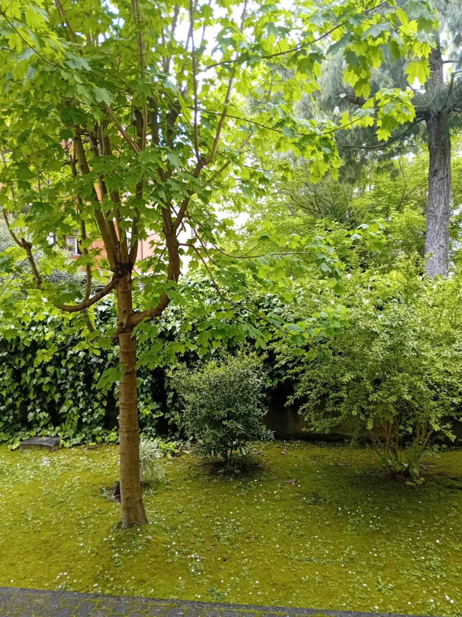 Casa Vacanze Lida مارينا دي كارّارا المظهر الخارجي الصورة